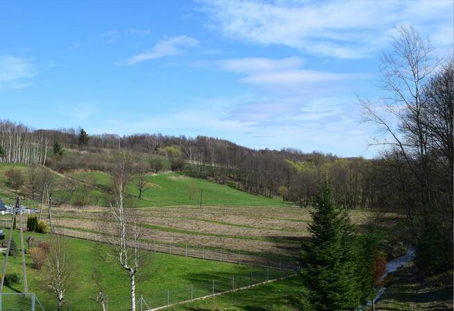 Działka rekreacyjna 40a- Manasterz