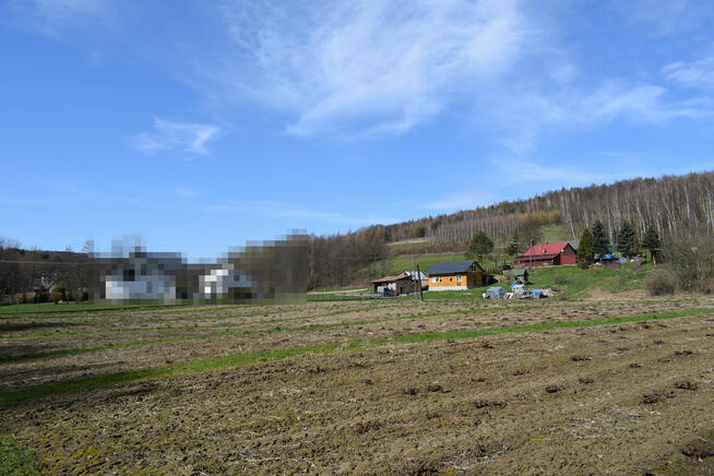 Działka rekreacyjna 40a- Manasterz