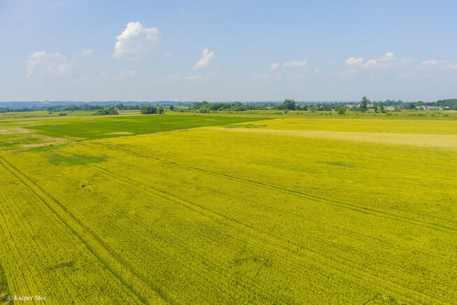DZIAŁKA ROLNA W SZCZUROWEJ