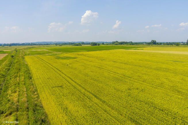 DZIAŁKA ROLNA W SZCZUROWEJ