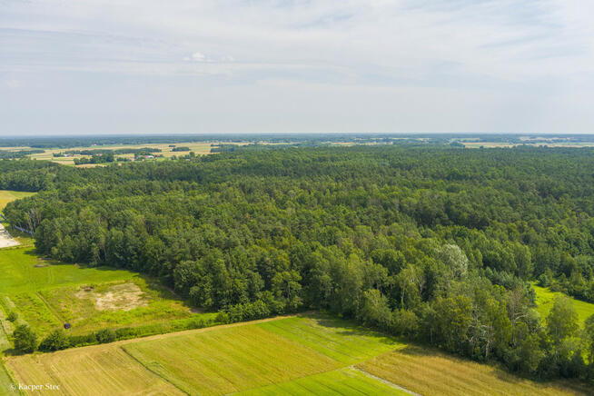 Działka leśna w okazyjnej cenie