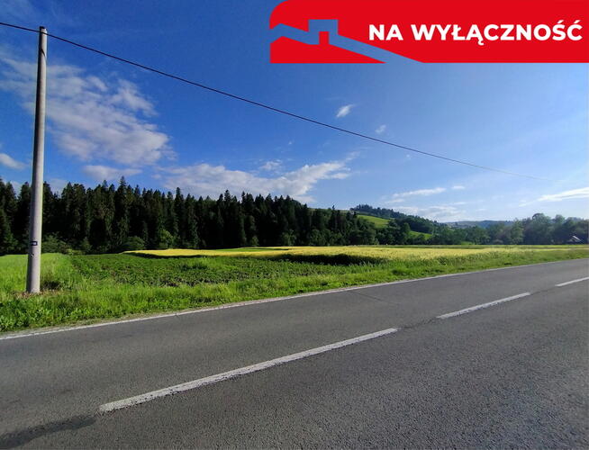 Działka przy strumyku