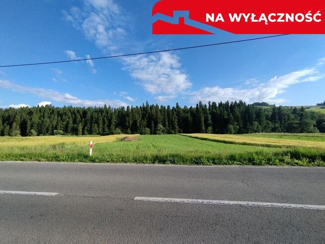 Działka przy strumyku