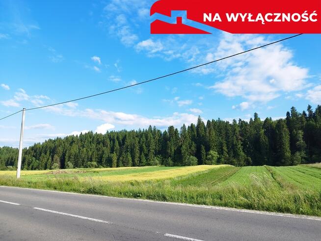Działka przy strumyku