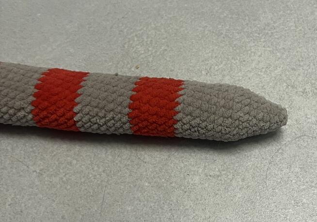 Wąż Kopacz dla kota