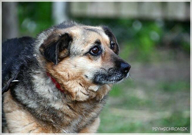 Funia - całe życie w poniewierce