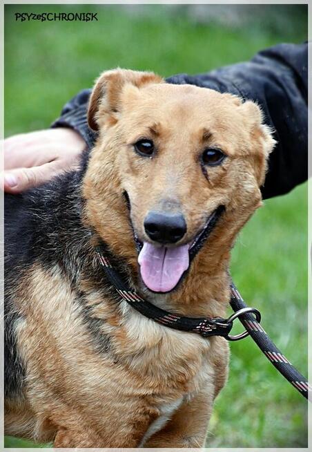 Doris - czy faktycznie jest na przegranej pozycji?