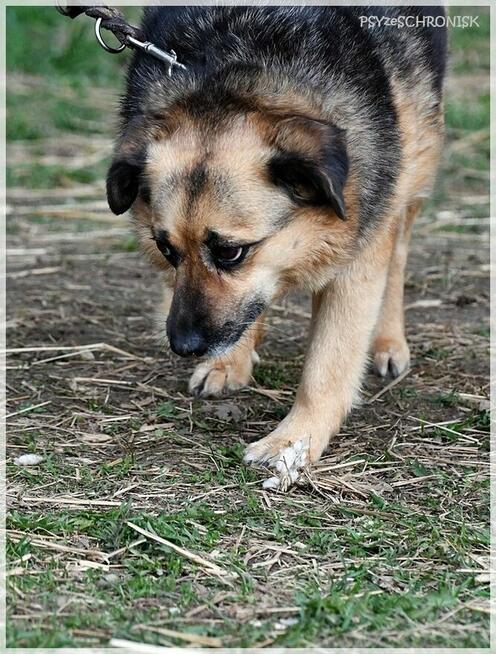 Funia - całe życie w poniewierce