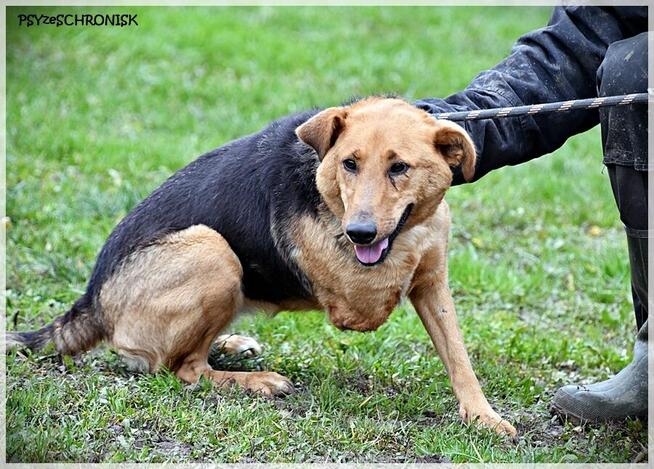 Doris - czy faktycznie jest na przegranej pozycji?
