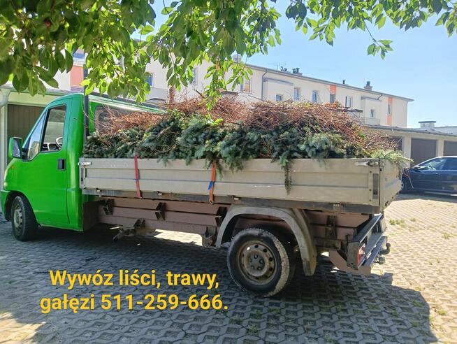 Usługi ogrodnicze, prace porządkowe, wynajem maszyn