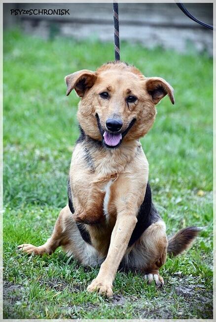 Doris - czy faktycznie jest na przegranej pozycji?