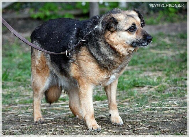 Funia - całe życie w poniewierce