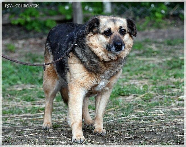 Funia - całe życie w poniewierce