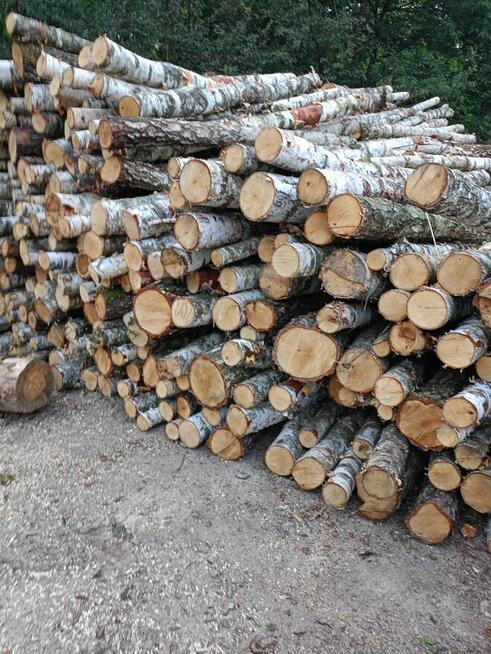 Sprzedam drewno opałowe buk