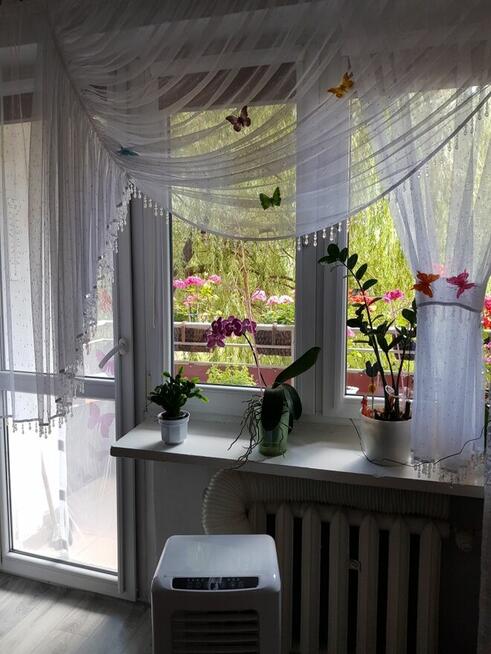 Mieszkanie Bytom Strzelcow 2pokojowe balkon 1 pietro