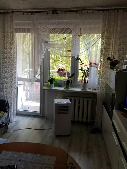 Mieszkanie Bytom Strzelcow 2pokojowe balkon 1 pietro