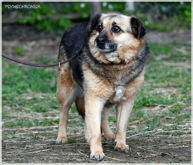 Funia - całe życie w poniewierce