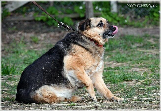 Funia - całe życie w poniewierce