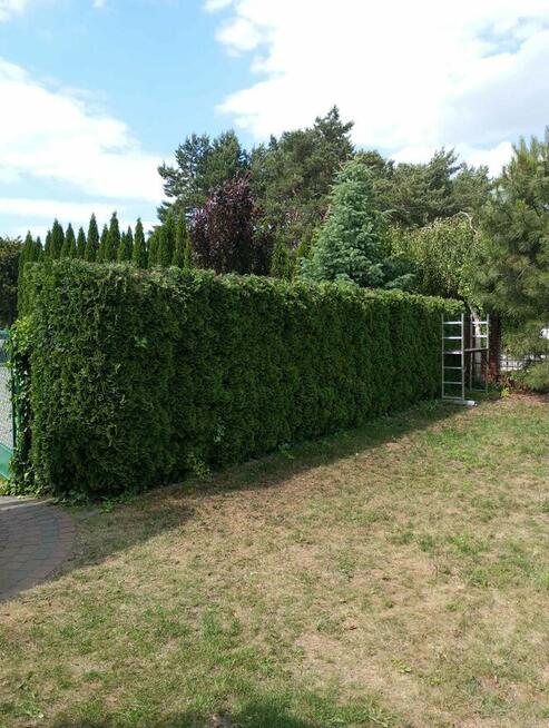 Usługi ogrodnicze, prace porządkowe, wynajem maszyn