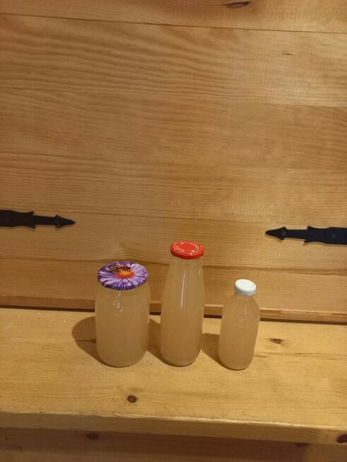 Ocet jabłkowy bio naturalny