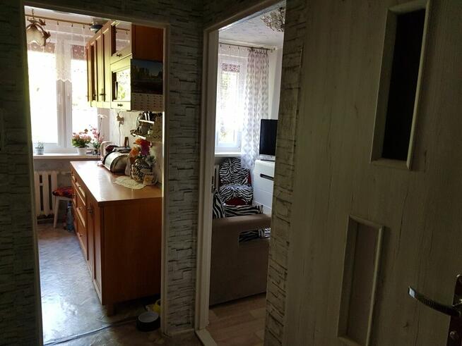 Mieszkanie Bytom Strzelcow 2pokojowe balkon 1 pietro