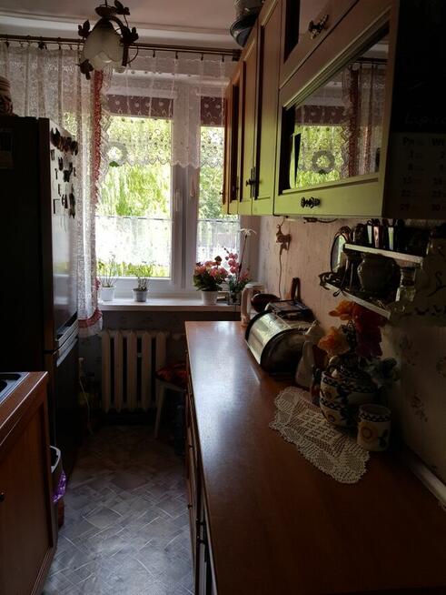 Mieszkanie Bytom Strzelcow 2pokojowe balkon 1 pietro