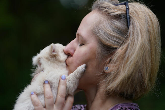 Chihuahua po Ch.PL, okolice W-wy