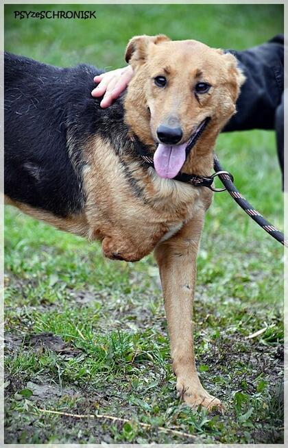 Doris - czy faktycznie jest na przegranej pozycji?