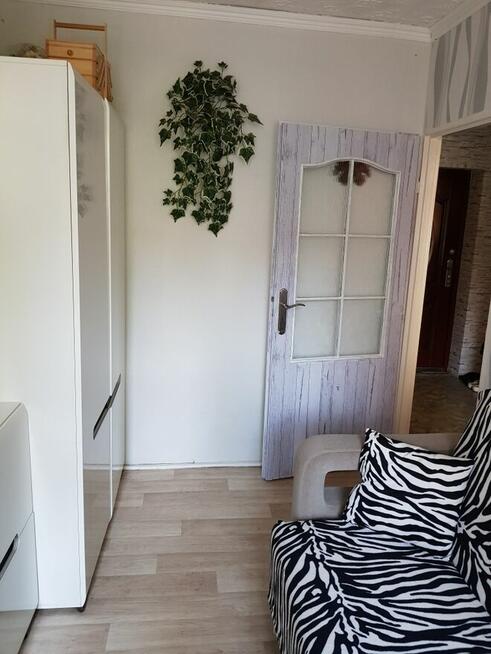 Mieszkanie Bytom Strzelcow 2pokojowe balkon 1 pietro