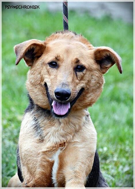 Doris - czy faktycznie jest na przegranej pozycji?