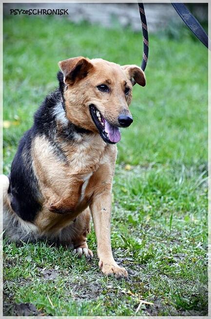 Doris - czy faktycznie jest na przegranej pozycji?