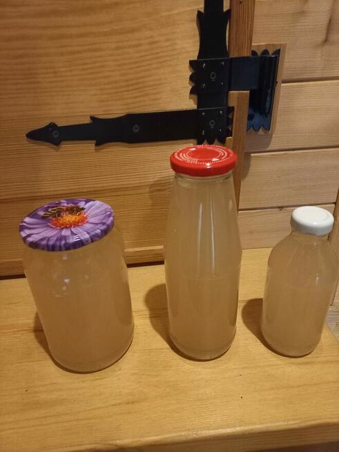 Ocet jabłkowy bio naturalny