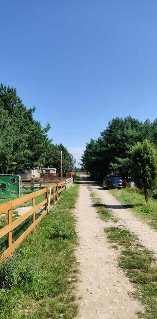 Działka rekreacyjna nad zalewem sulejowskim