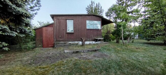 Działka ROD przekażę