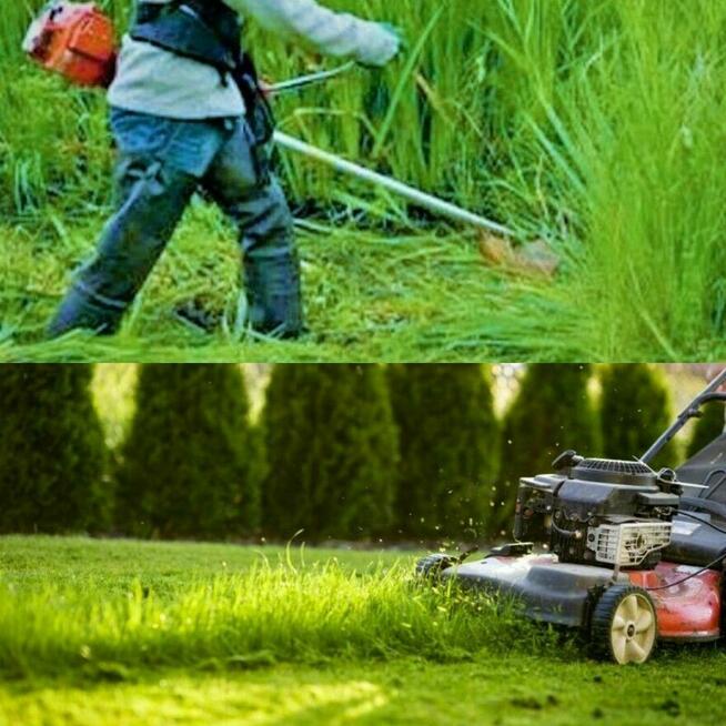 Koszenie nieużytków, trawy, karczowanie, kosiarka bijakowa,