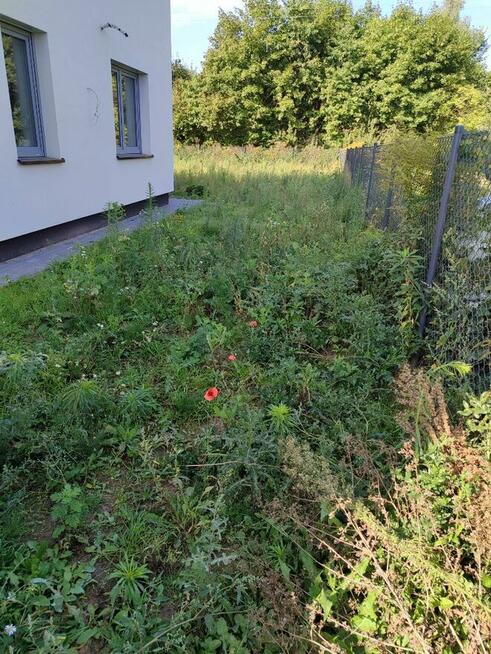 Pielęgnacja/Zakładanie ogrodów, usługi miniładowarką