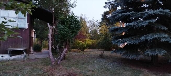 Działka ROD przekażę