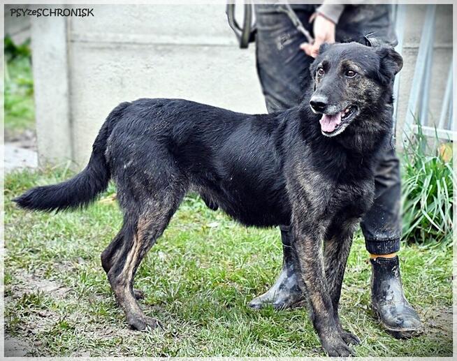 Hades - daj mu nowe życie
