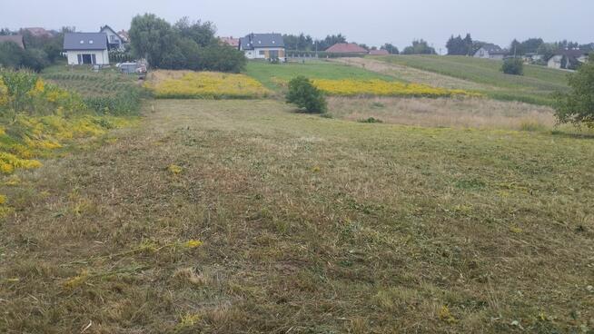 Koszenie nieużytków, trawy, karczowanie, kosiarka bijakowa,