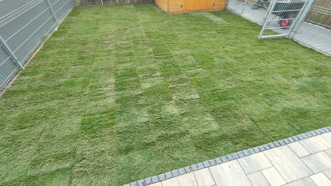 Pielęgnacja/Zakładanie ogrodów, usługi miniładowarką