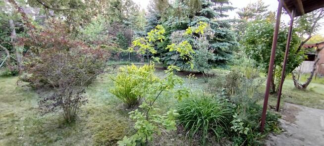 Działka ROD przekażę