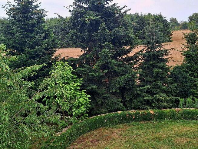 Sprzedam gospodarstwo rolne