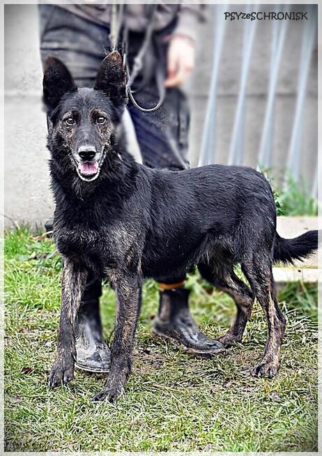 Hades - daj mu nowe życie