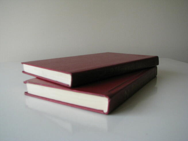 Polska nowela fantastyczna, 2 tomy – zebrał Julian Tuwim 197