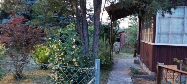 Działka ROD przekażę