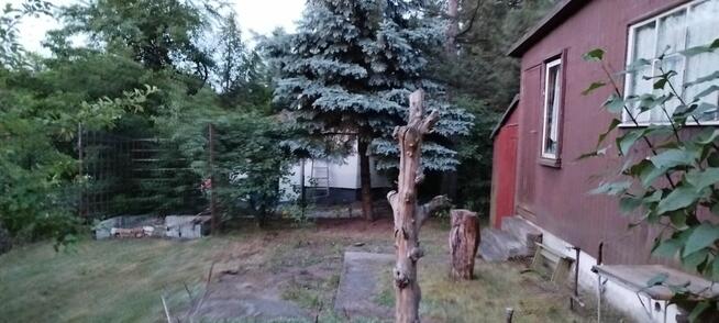 Działka ROD przekażę