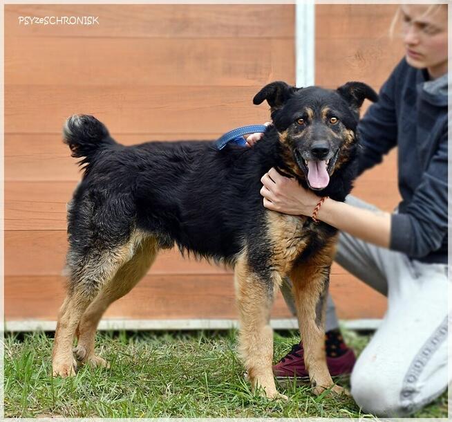 Kumpel - chce zostać twoim kumplem :)