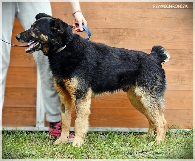 Kumpel - chce zostać twoim kumplem :)