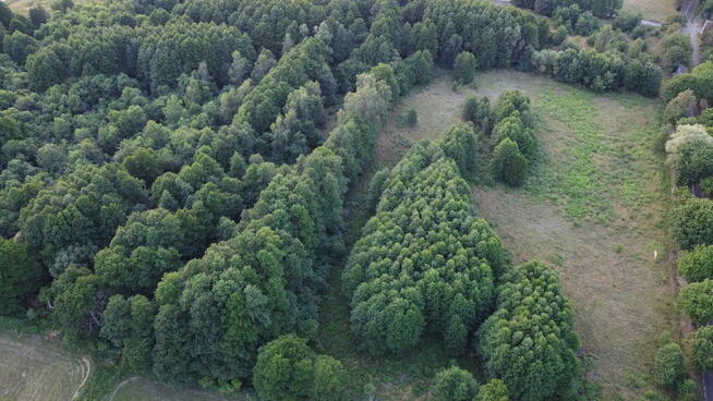 Działka 1,86 ha w KRĘPSKU