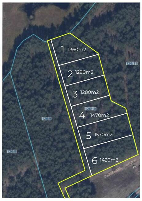 Działki w sercu lasu.......cisza idealna